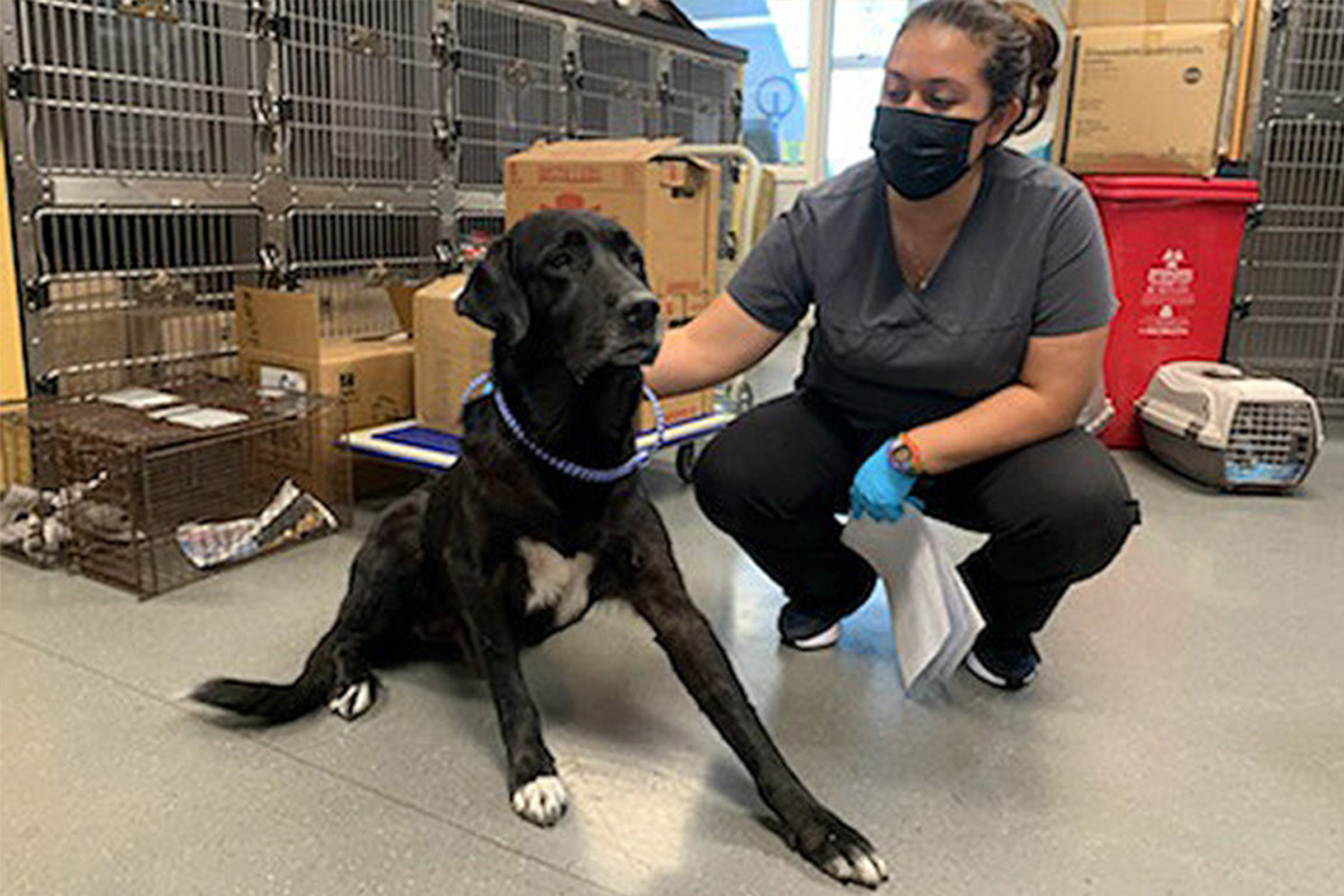 Witcoff_Website-Photos_New-smaller_2