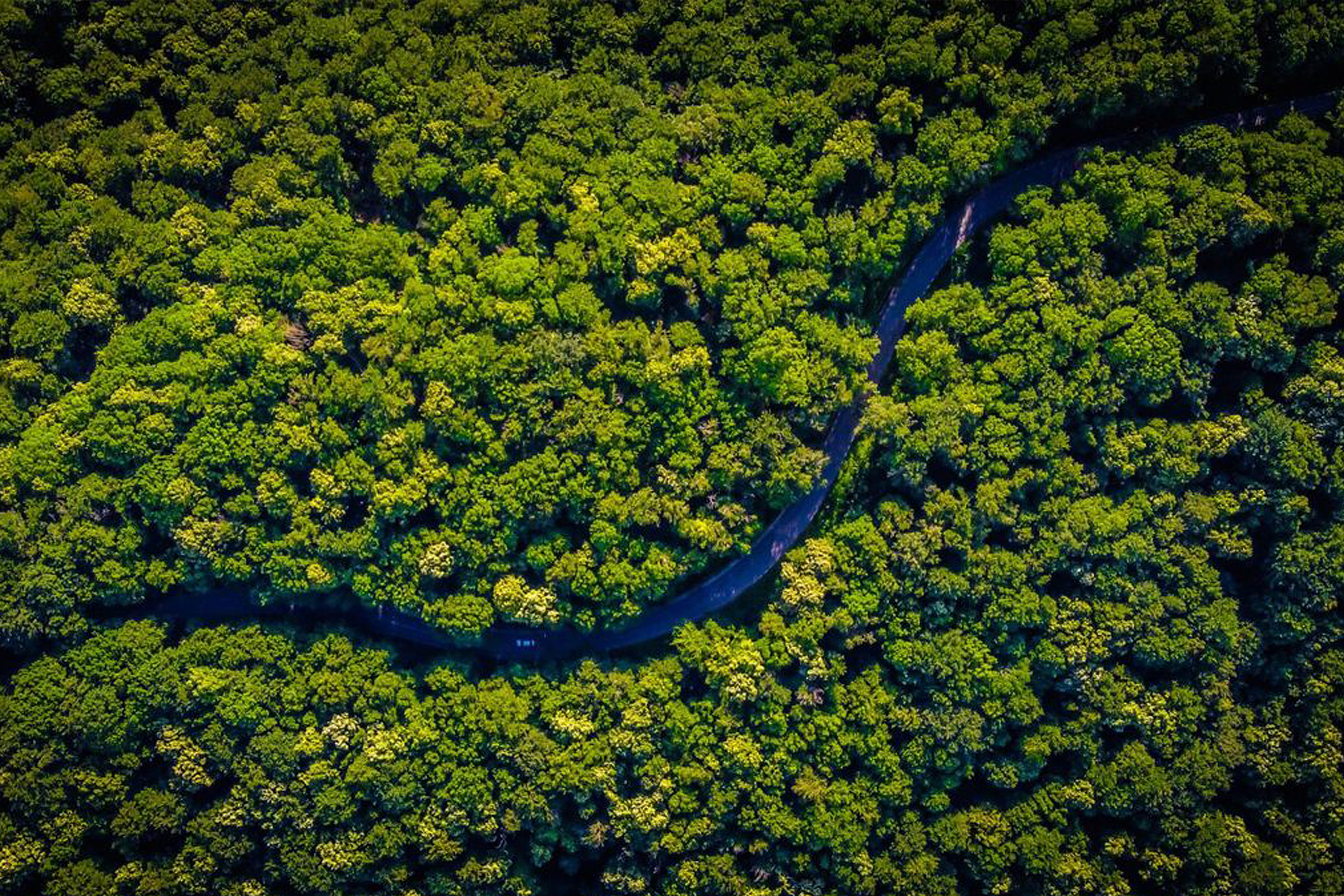 Witcoff_Website-Photos_New-smaller_5